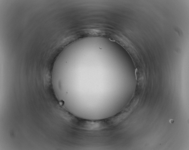 X0000113870469200910081730