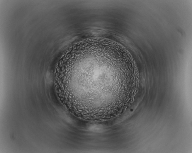 X0000113870471200910081730