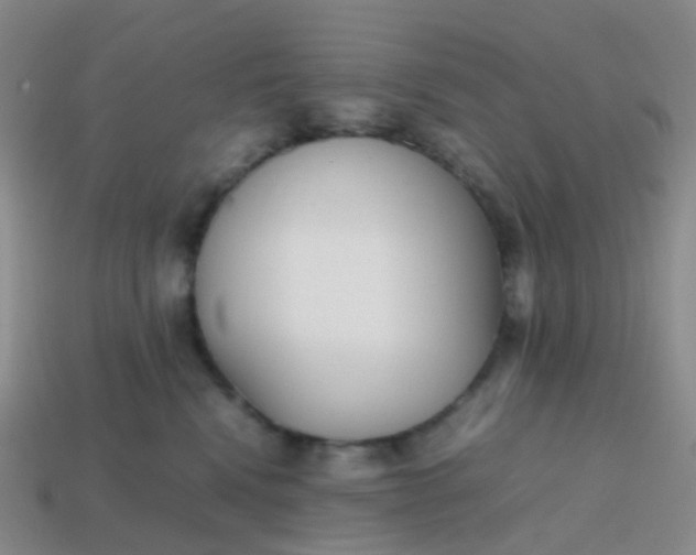 X0000113870472200910081730