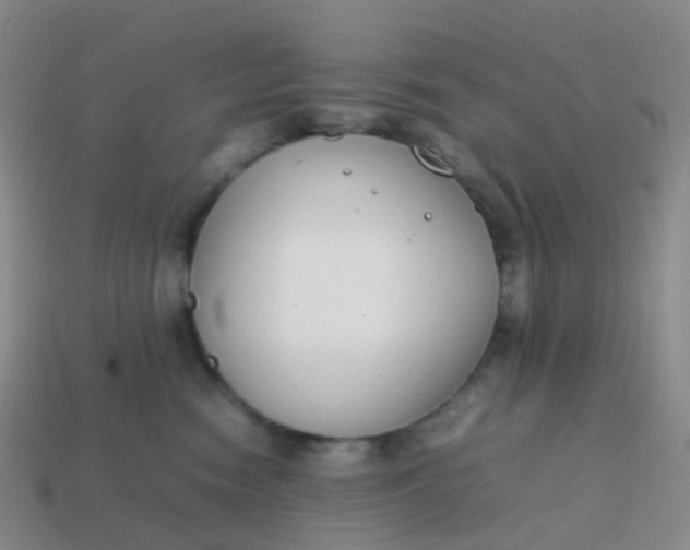 X0000113870474200910081730