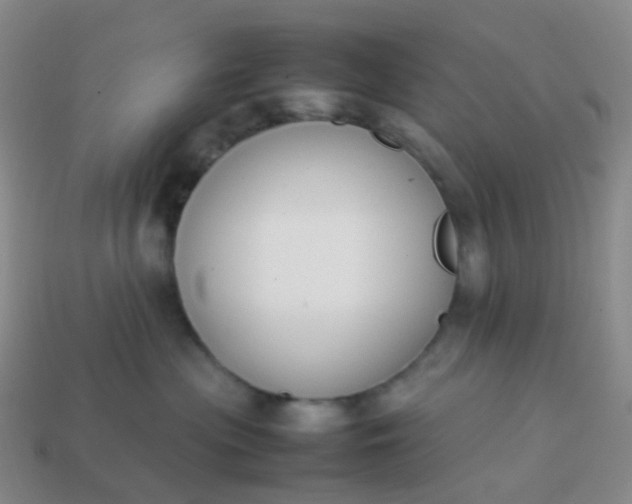 X0000113870477200910081730