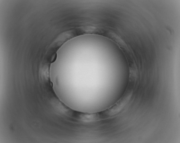 X0000113870479200910081730