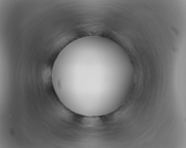 X0000113870480200910081730