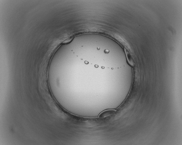 X0000113870481200910081730