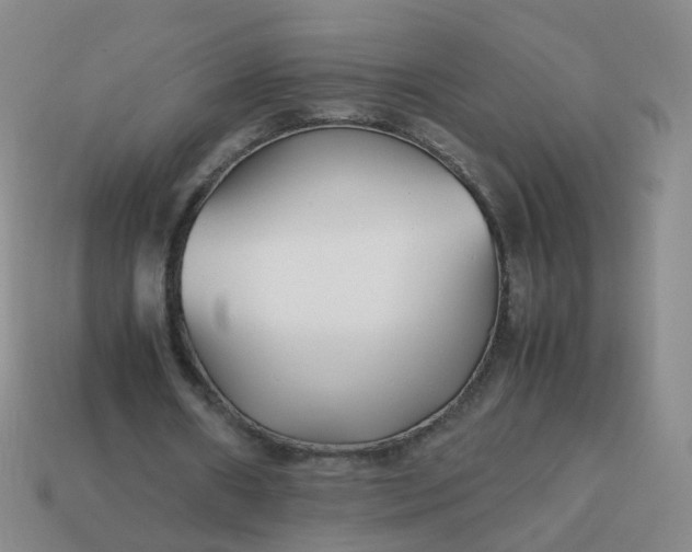 X0000113870482200910081730