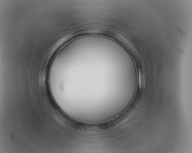 X0000113870483200910081730