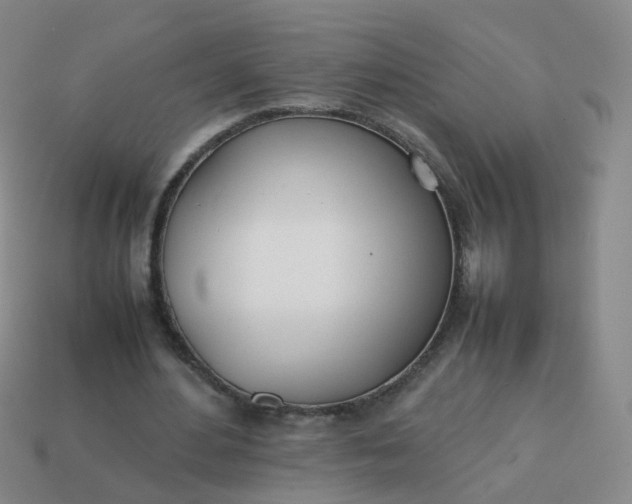 X0000113870484200910081730