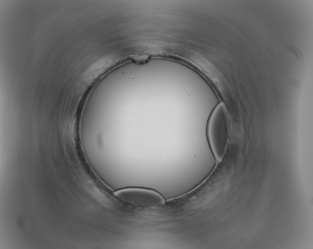 X0000113870485200910081730