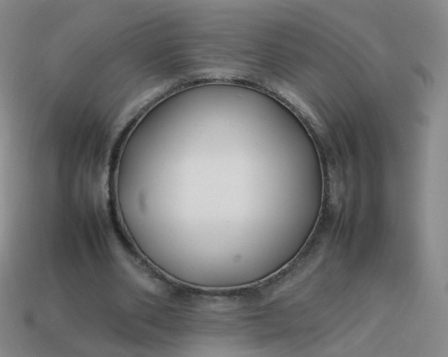 X0000113870486200910081730