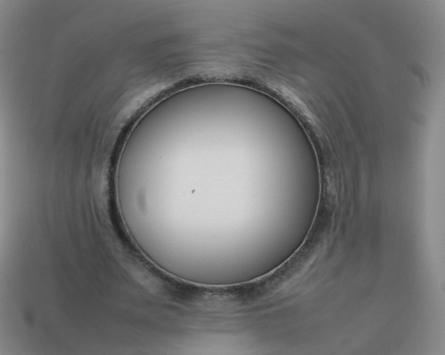 X0000113870487200910081730