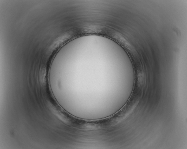 X0000113870490200910081730