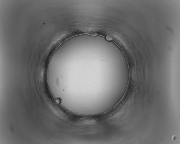 X0000113870491200910081730