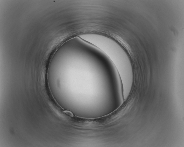 X0000113870493200910081730