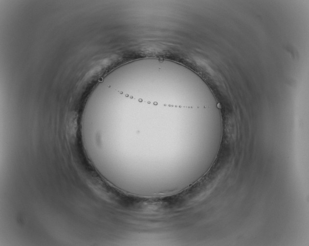 X0000113870495200910081730