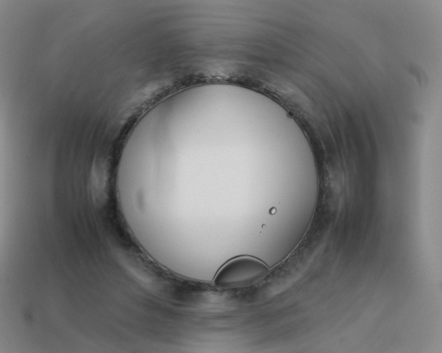 X0000113870496200910081730