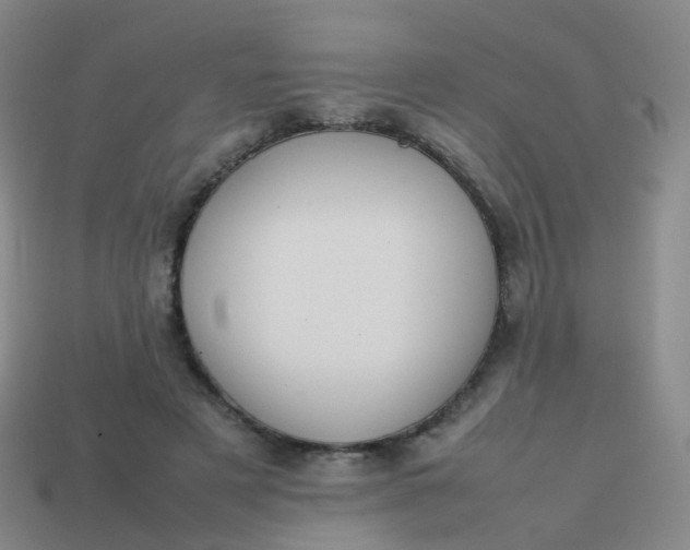 X0000113870497200910081730