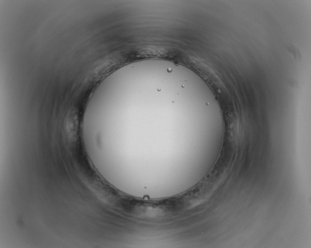 X0000113870498200910081730