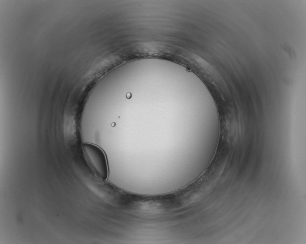 X0000113870500200910081729