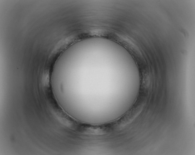 X0000113870502200910081729