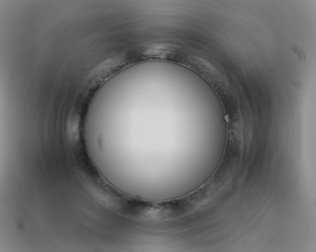 X0000113870504200910081729