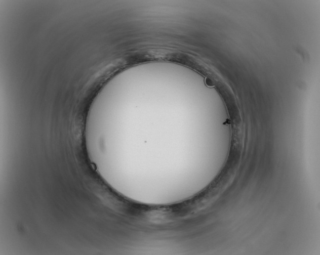 X0000113870505200910081729