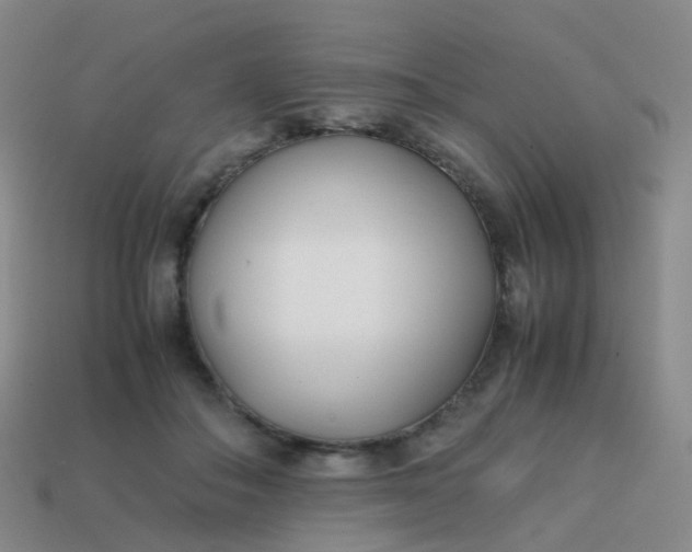 X0000113870506200910081729