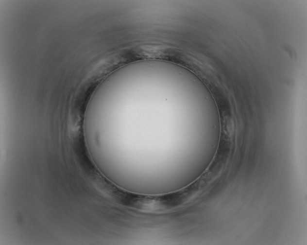 X0000113870507200910081729