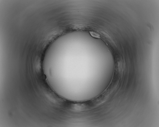 X0000113870508200910081729