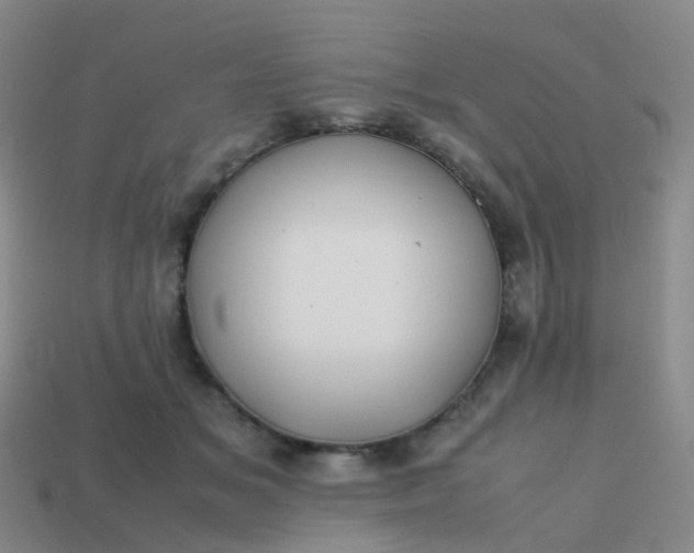 X0000113870509200910081729