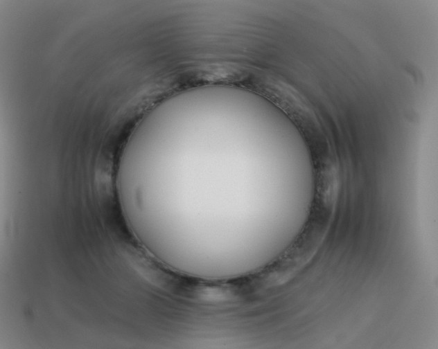 X0000113870510200910081729