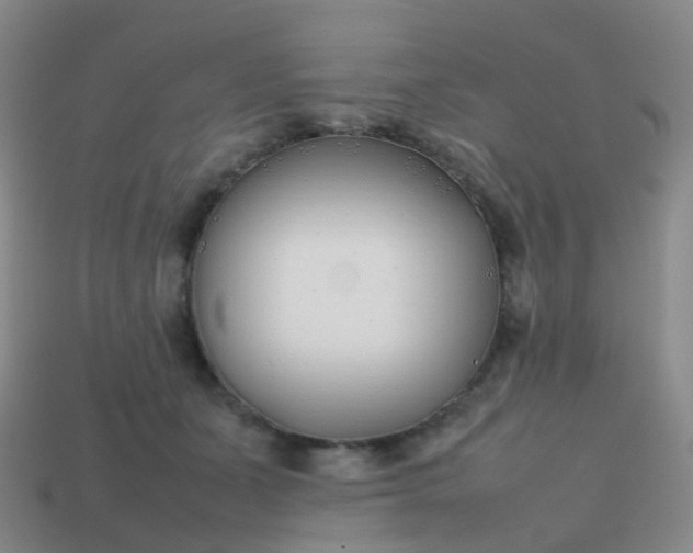 X0000113870511200910081729