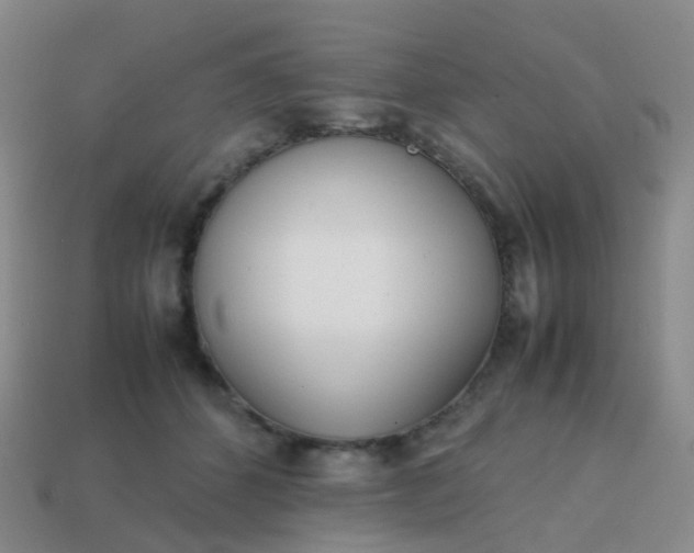 X0000113870512200910081729