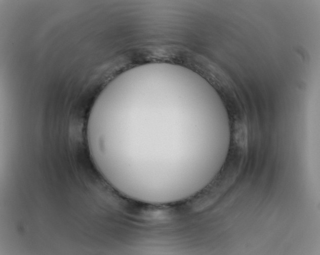 X0000113870514200910081729