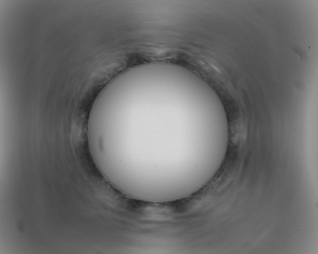 X0000113870515200910081729