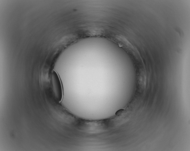 X0000113870516200910081729