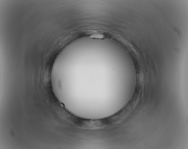 X0000113870517200910081729