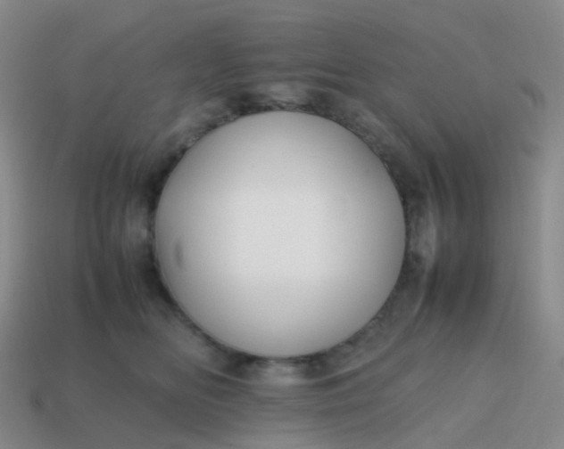 X0000113870518200910081729