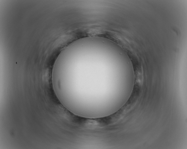 X0000113870519200910081729