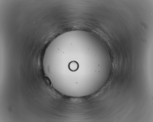 X0000113870520200910081729