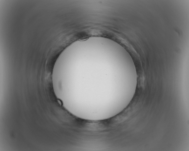 X0000113870521200910081729