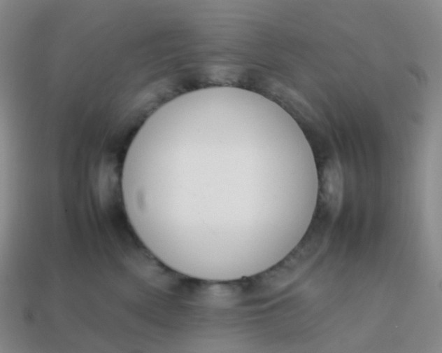 X0000113870522200910081729