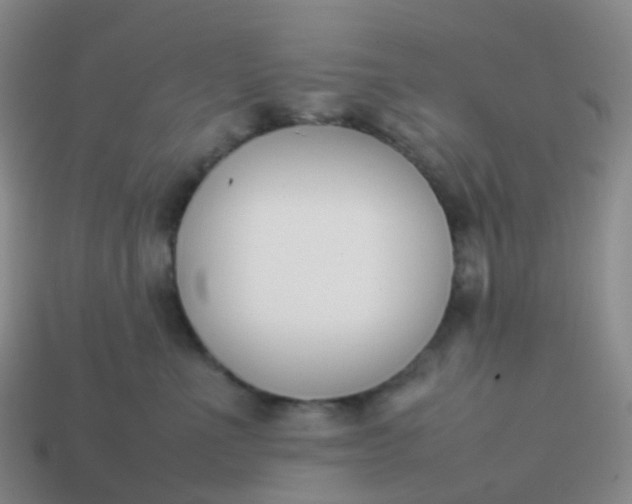 X0000113870523200910081729