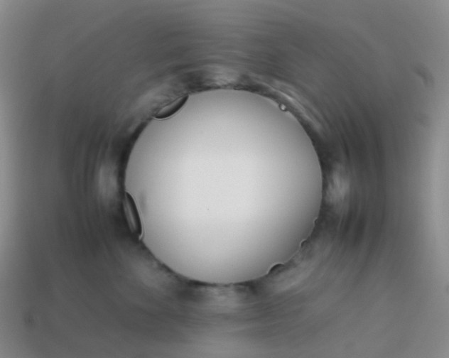 X0000113870524200910081729