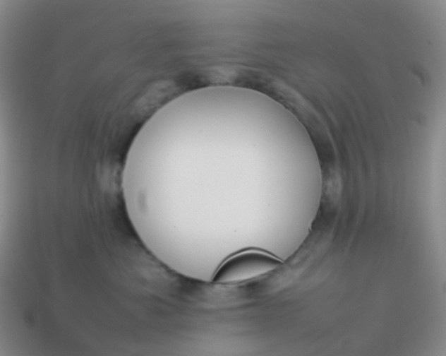 X0000113870525200910081729