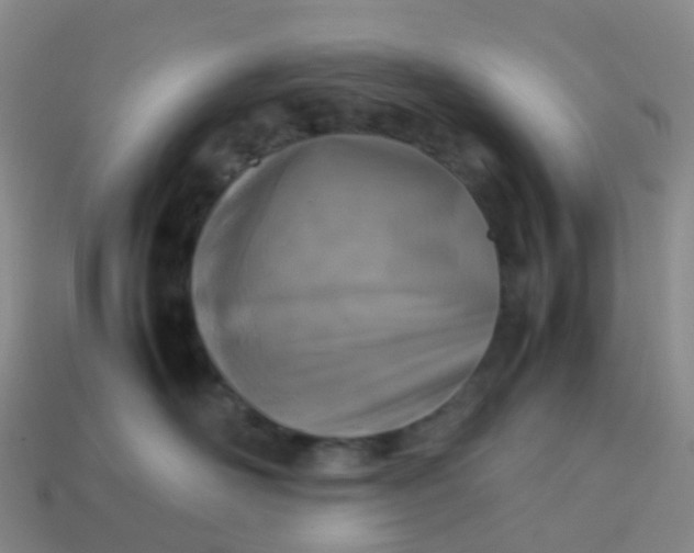 X0000113870526200910081729