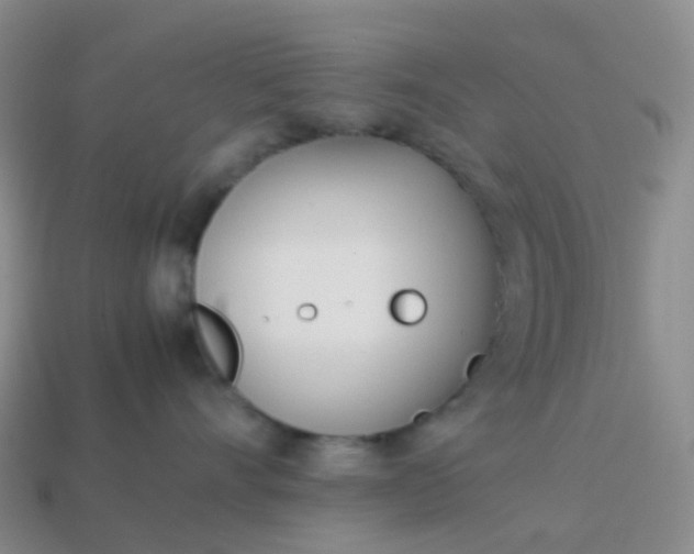 X0000113870528200910081729