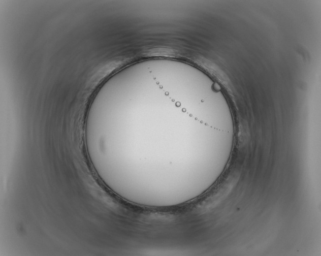 X0000113870529200910081729