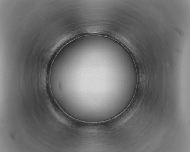 X0000113870530200910081729