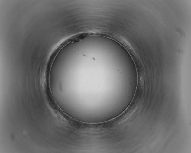 X0000113870532200910081729