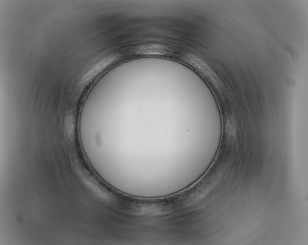 X0000113870533200910081729